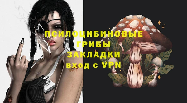 метадон Новозыбков