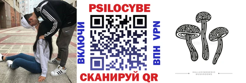 Галлюциногенные грибы Psilocybe  купить   нарко площадка состав  Нарткала 